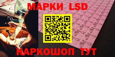 прущие грибы Можга