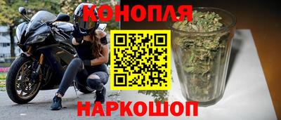 прущие грибы Можга