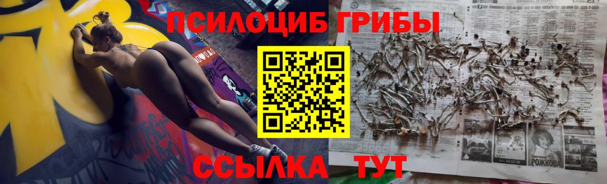 Псилоцибиновые грибы прущие грибы Симферополь